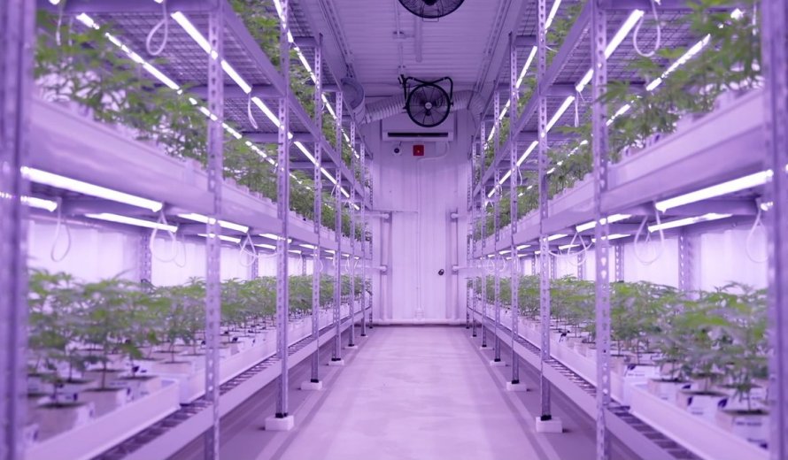 cannabis facilities ontario