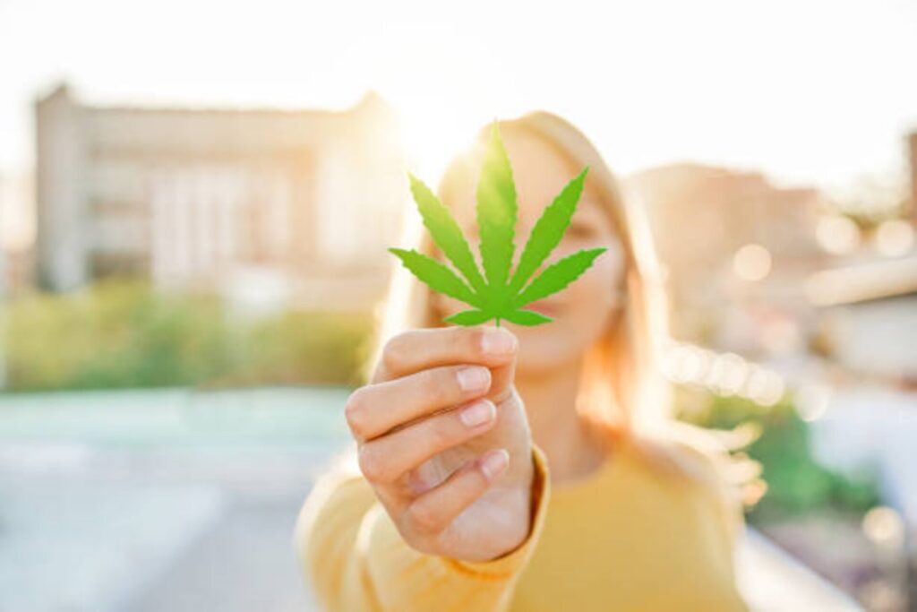 Cannabis Wholesale